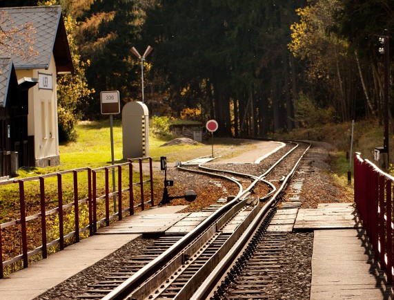 Narrow-gauge steam train ride