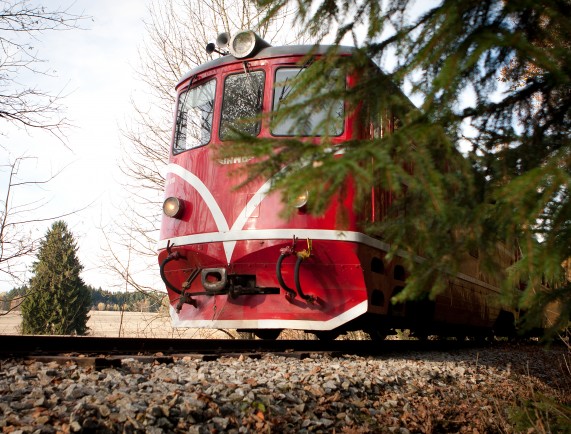 Narrow-gauge steam train ride