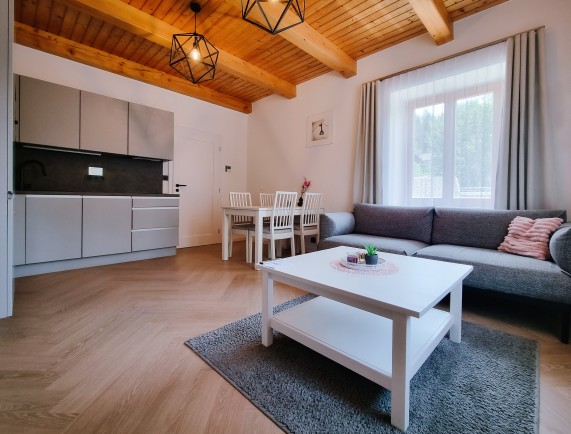 Kitchen and sitting area